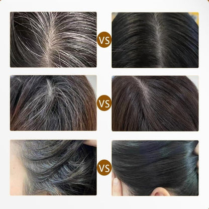 2-IN-1 HAIR DYE COMB – QUICK &amp; EASY GREY HAIR COVERAGE