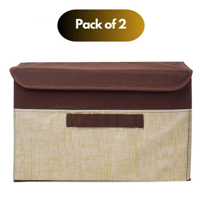 SPACE SAVING ORGANIZER WITH LID (PACK OF 2)